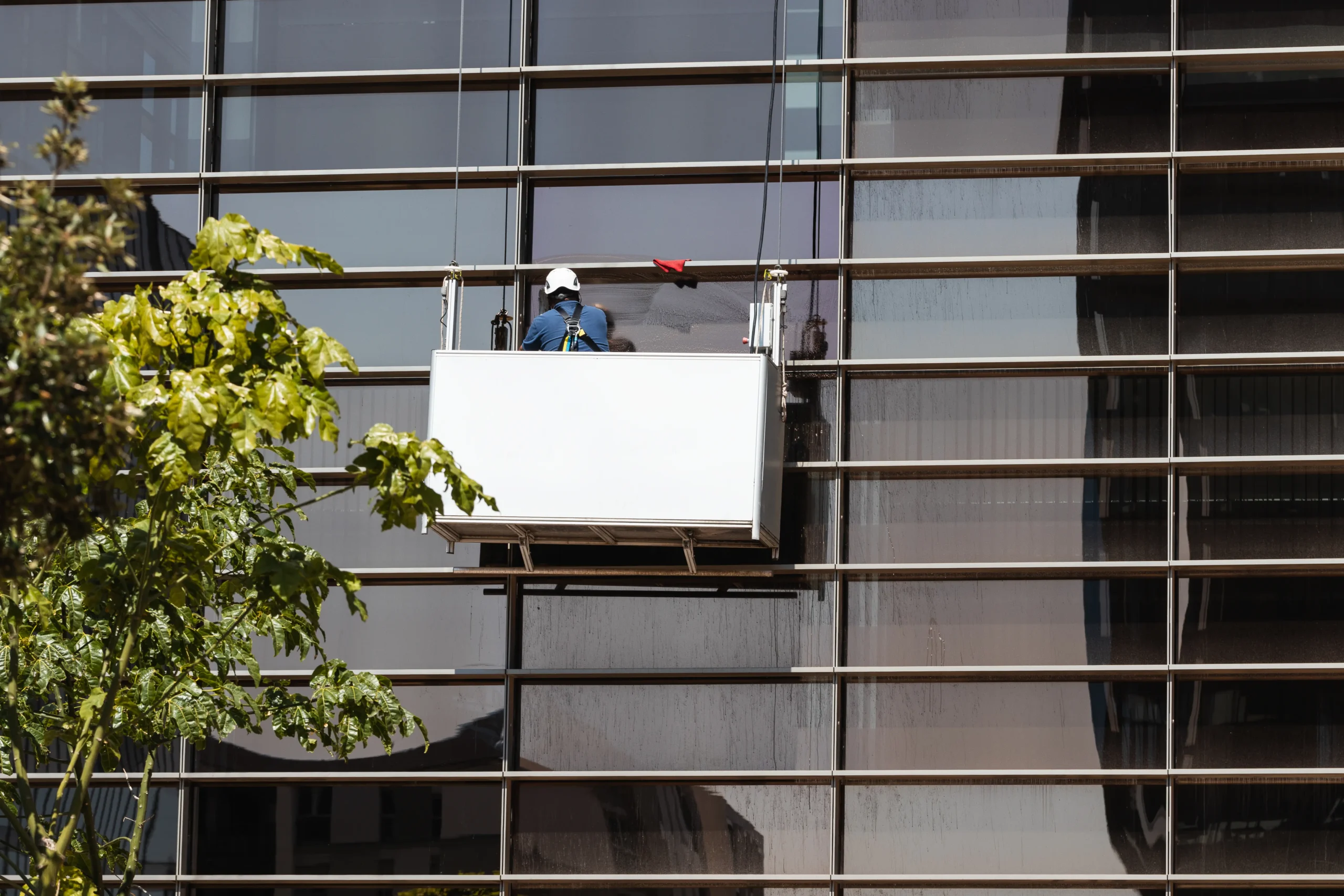 Fensterreinigung Heidelberg