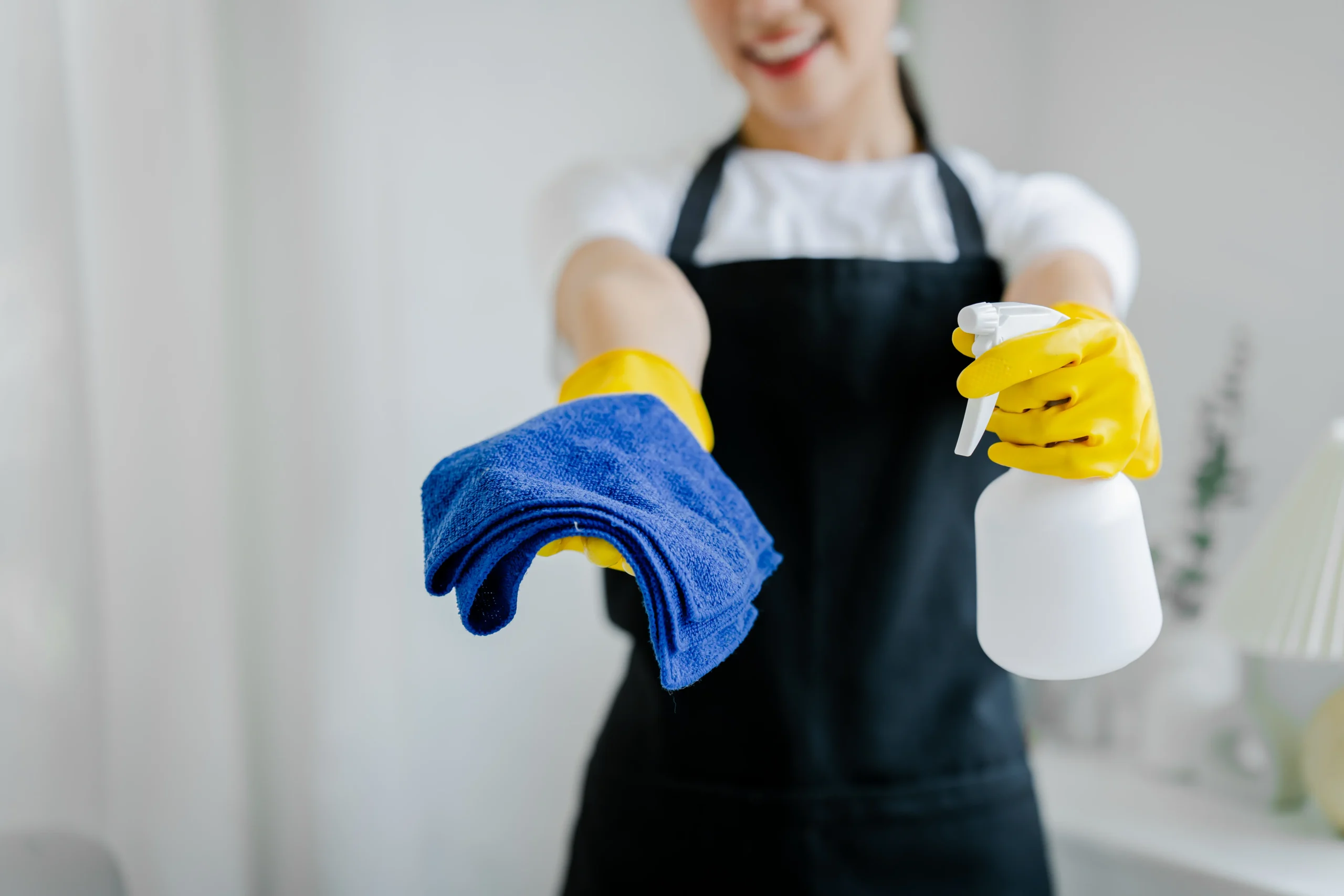 young-women-use-cleaning-cloths-and-disinfectant-s-2026-01-09-00-40-07-utc