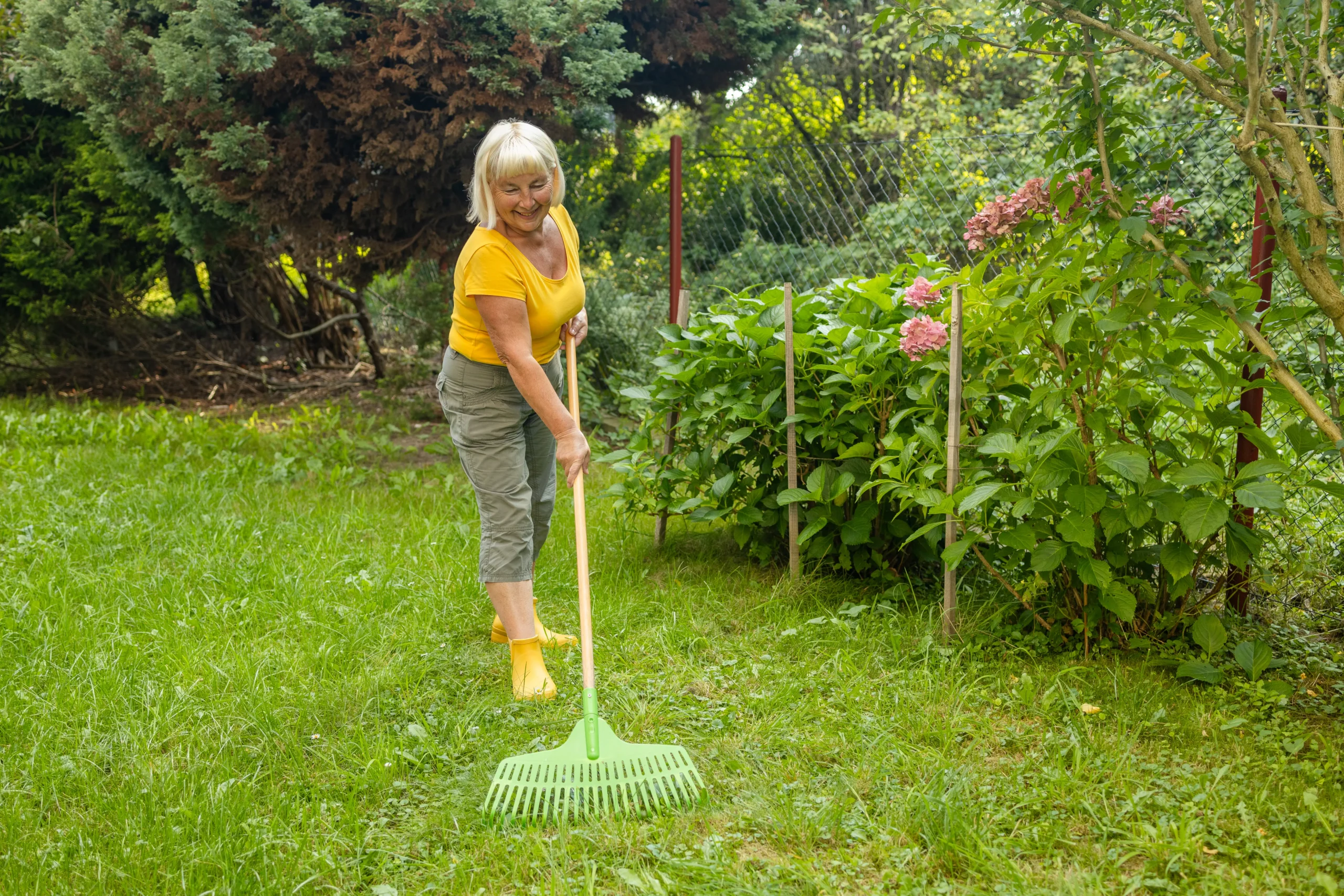 Gebäudereinigung & Gebäudeservice Plauen