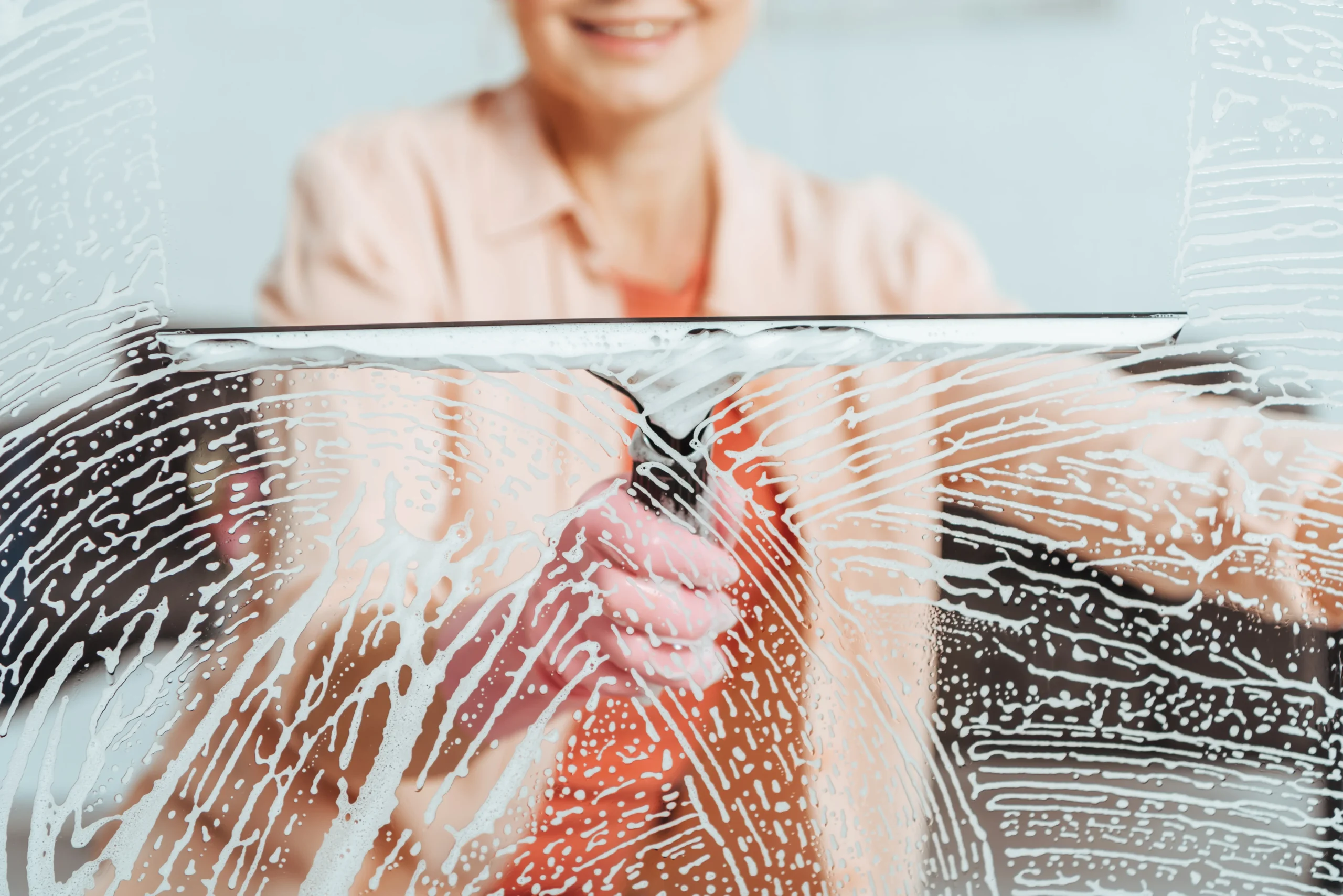 Fensterreinigung Plauen