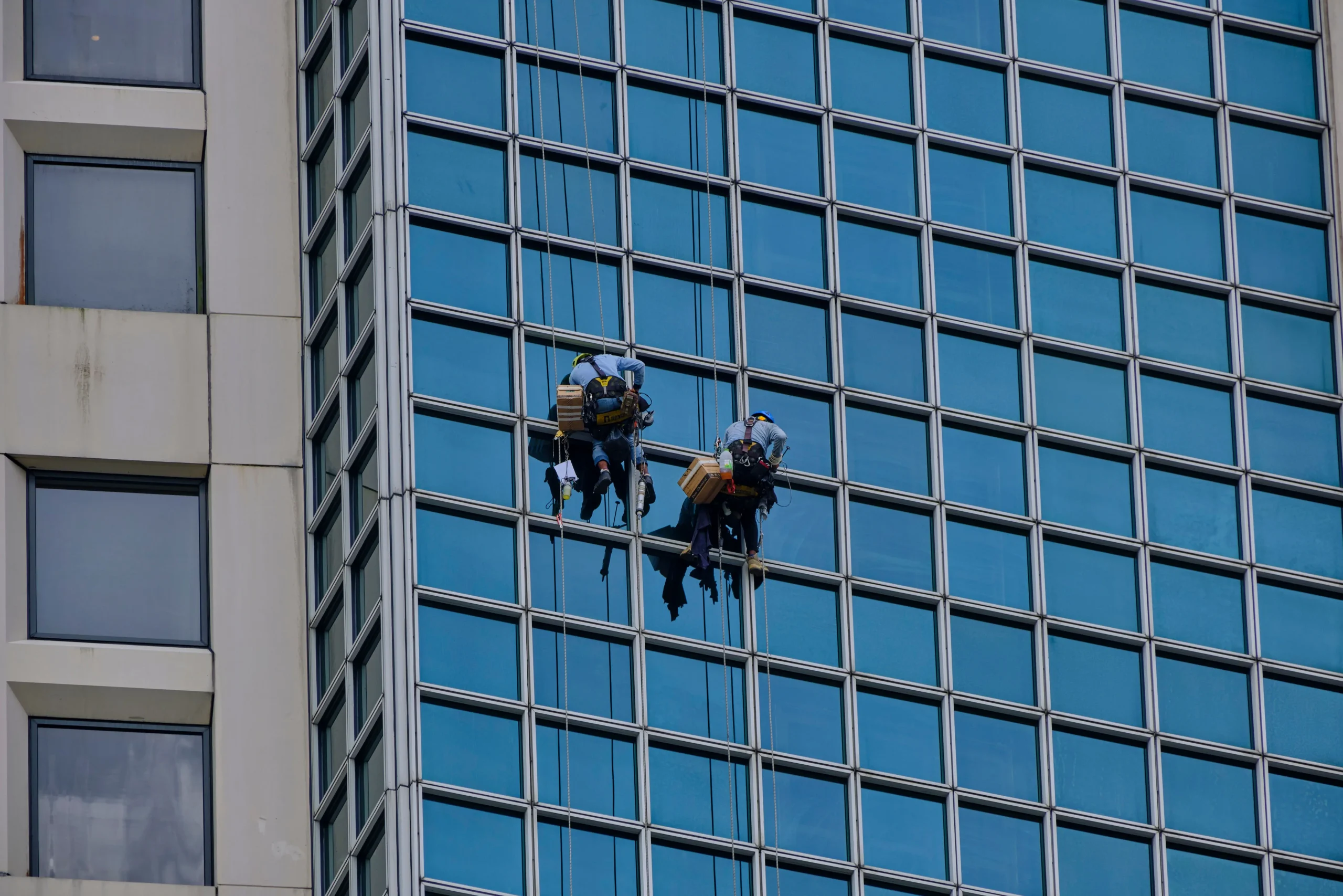 Fensterreinigung Dessau Roßlau